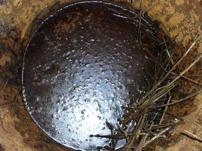 20100715221725-agua-hortigas.jpg