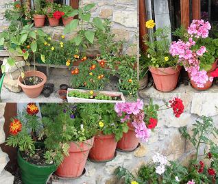 20110618173012-balcon-florido.jpg