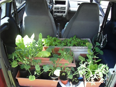 20110716230037-huerto-coche.jpg